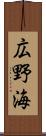 広野海 Scroll