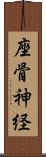座骨神経 Scroll