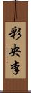 彩央李 Scroll