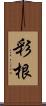 彩根 Scroll