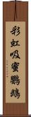 彩虹吸蜜鸚鵡 Scroll