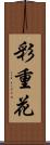彩重花 Scroll