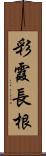 彩霞長根 Scroll