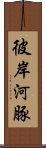 彼岸河豚 Scroll