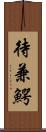 待兼鰐 Scroll