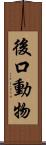 後口動物 Scroll