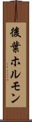 後葉ホルモン Scroll