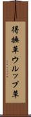 得撫草 Scroll