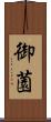 御薗 Scroll