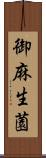 御麻生薗 Scroll