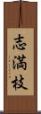 志満枝 Scroll