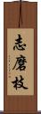 志磨枝 Scroll