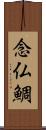 念仏鯛 Scroll