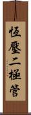 恆壓二極管 Scroll