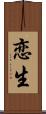 恋生 Scroll