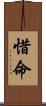 惜命 Scroll