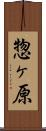 惣ヶ原 Scroll
