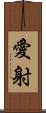 愛射 Scroll