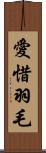 愛惜羽毛 Scroll
