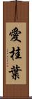 愛桂葉 Scroll