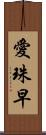 愛珠早 Scroll