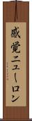 感覚ニューロン Scroll