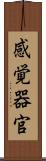 感覚器官 Scroll