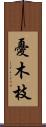 憂木枝 Scroll