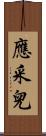 應采兒 Scroll