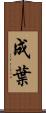 成葉 Scroll