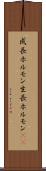 成長ホルモン Scroll