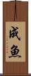 成魚 Scroll