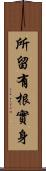 所留有根實身 Scroll