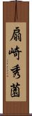 扇崎秀薗 Scroll
