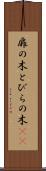 扉の木 Scroll
