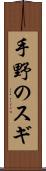 手野のスギ Scroll
