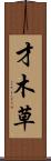 才木草 Scroll