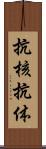 抗核抗体 Scroll