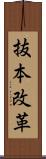 抜本改革 Scroll