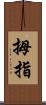 拇指 Scroll