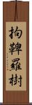 拘鞞羅樹 Scroll