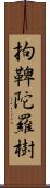 拘鞞陀羅樹 Scroll