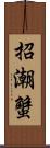 招潮蟹 Scroll