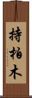 持柏木 Scroll