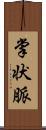 掌状脈 Scroll