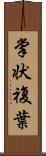 掌状複葉 Scroll