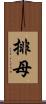 排母 Scroll
