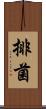 排菌 Scroll