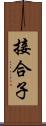 接合子 Scroll