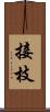 接枝 Scroll